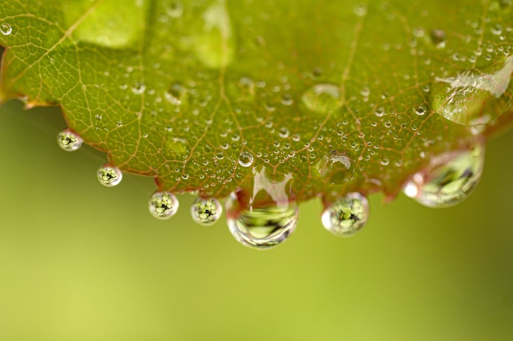 Photograph by Алфия Бугакова