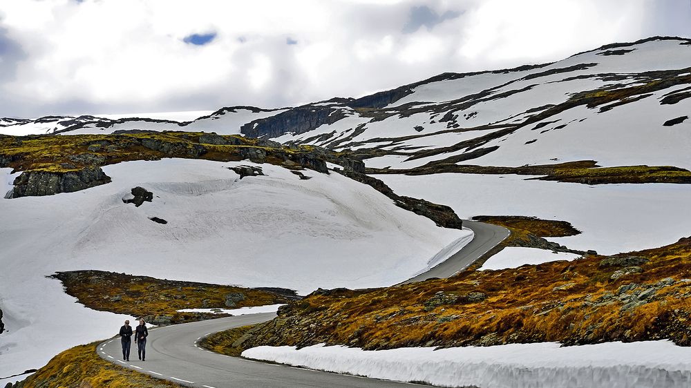 Tundra with civilization