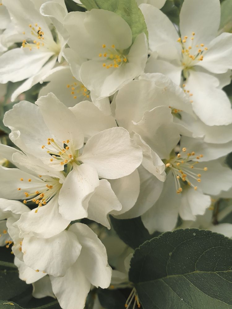 Photograph by Анна Данилина