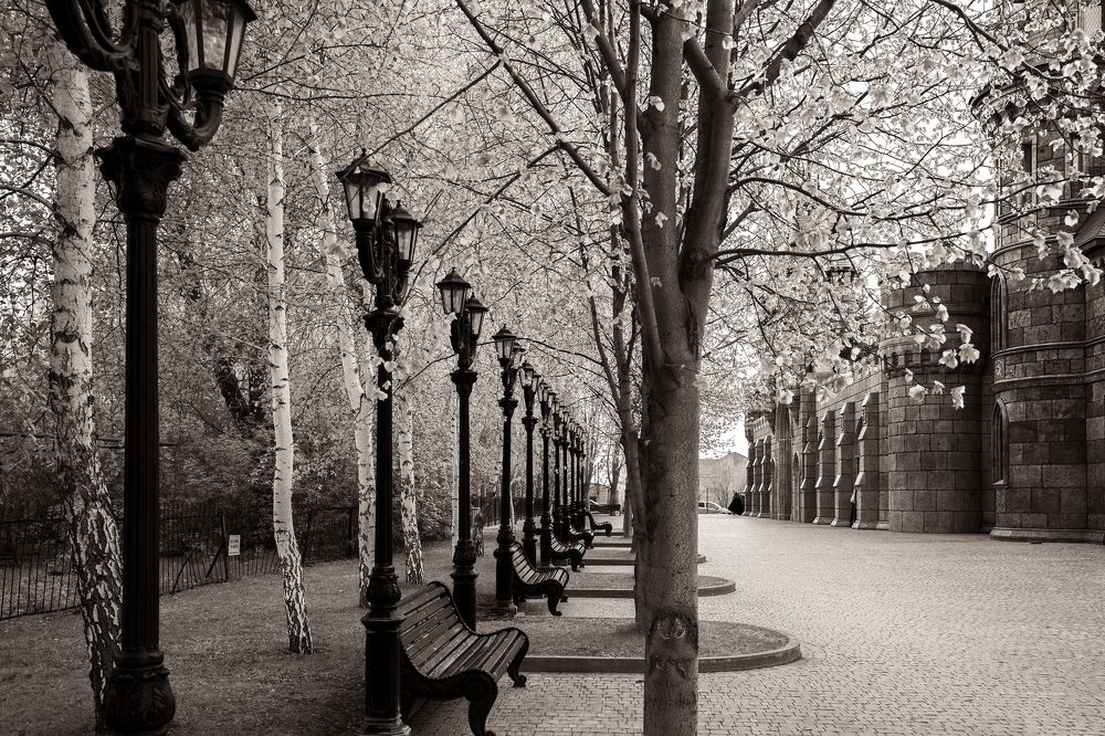 Photograph by Инесса Абрамова