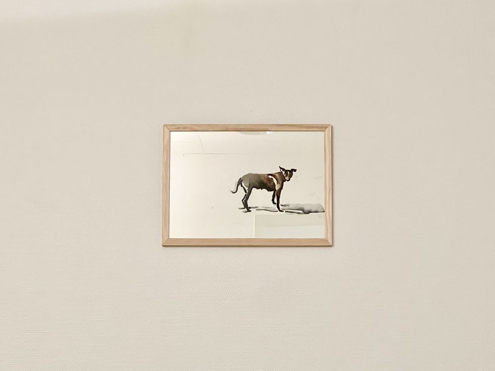 Photograph by Fatima Salimi