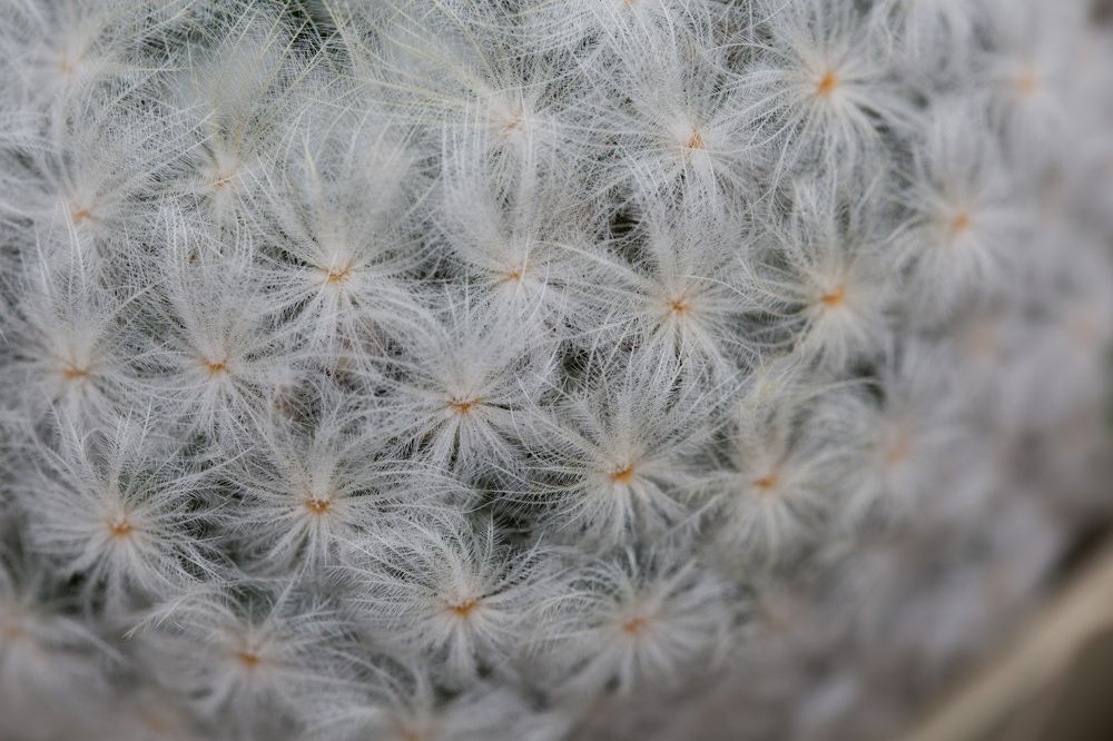 Photograph by Natalya Snegovaya