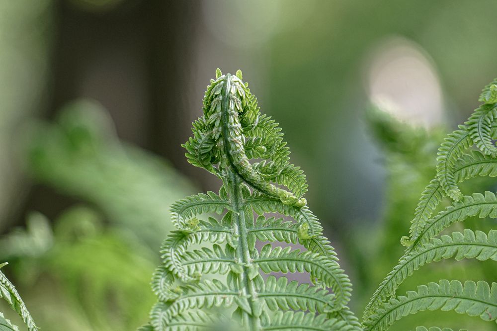 Photograph by Алфия Бугакова