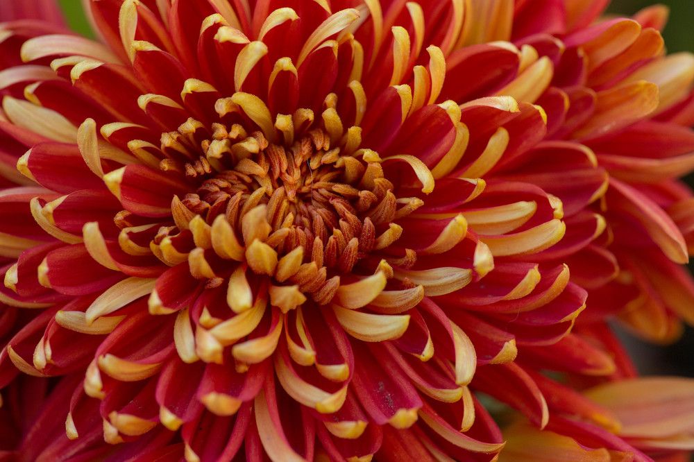 Photograph by Natalya Snegovaya