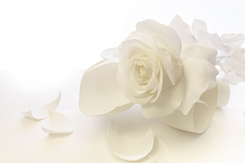 Photograph by Romen Krasnov