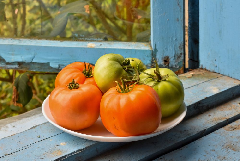 Photograph by Лариса Толкачёва