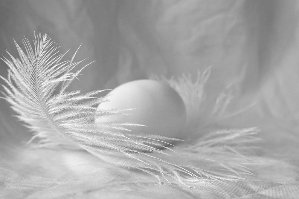 Photograph by Евгения Казакова