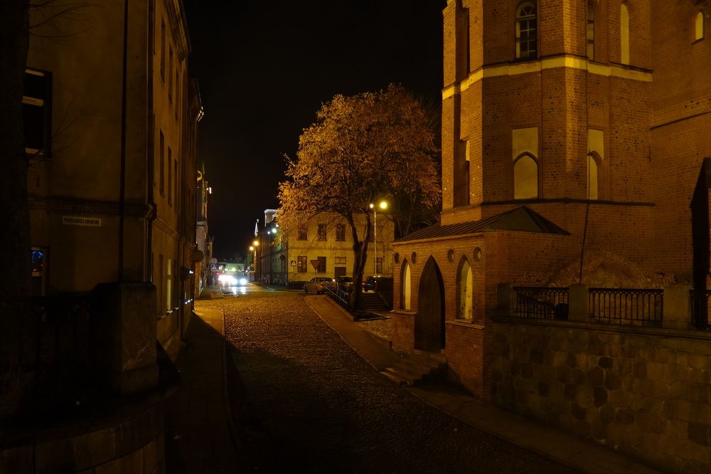 Фотография автора 