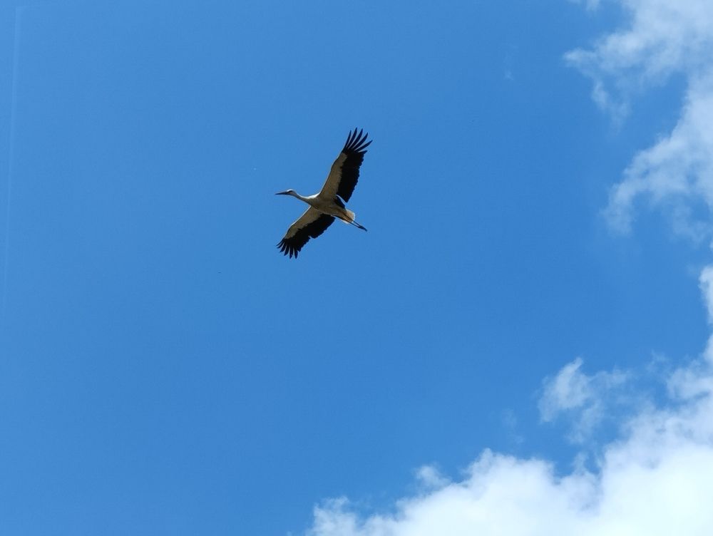 Photograph by Екатерина Супраненок