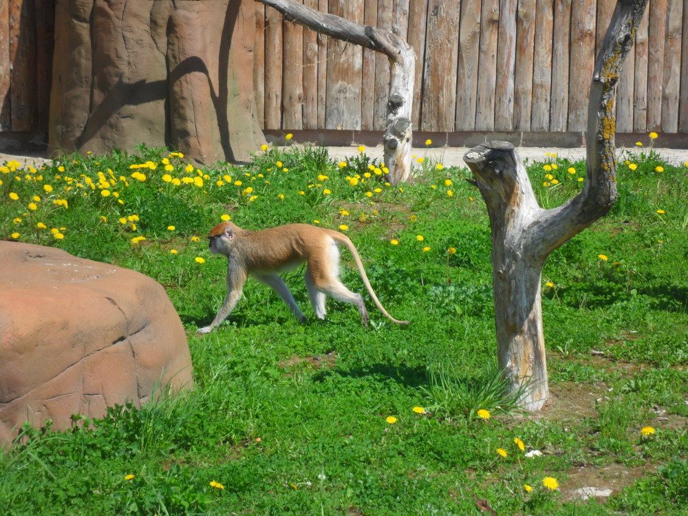 Photograph by Екатерина Супраненок