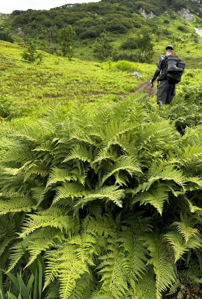 Фотография автора Яврова Татьяна