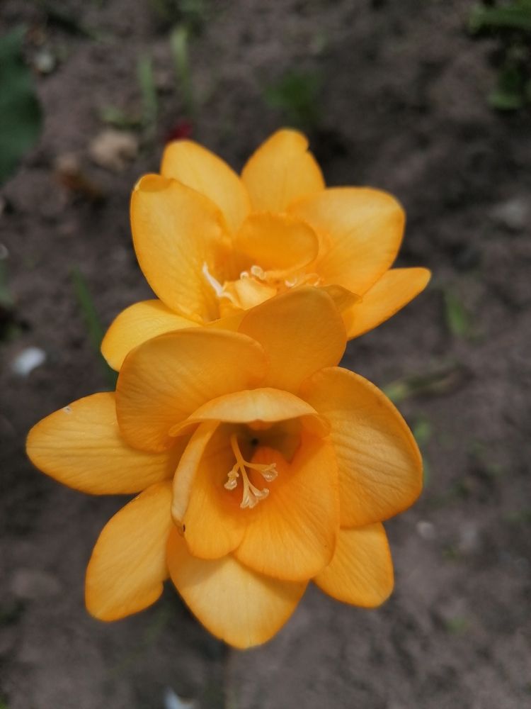 Photograph by Екатерина Супраненок