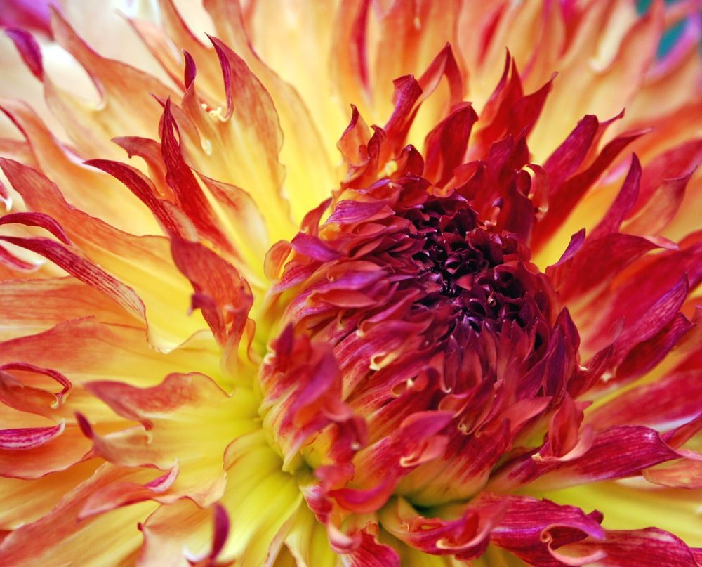 Photograph by Tatyana Markova