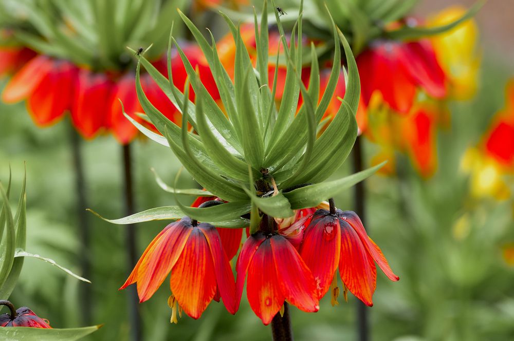 Photograph by Устинов Андрей