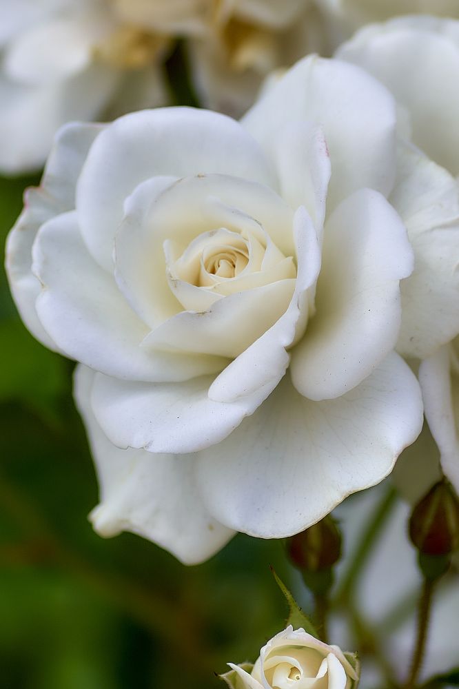 Photograph by Устинов Андрей