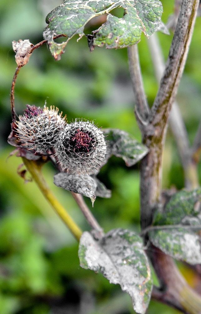 Photograph by Юрий Назыров