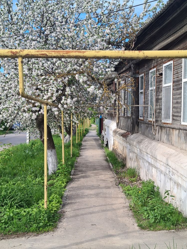 Photograph by Елена Квасова