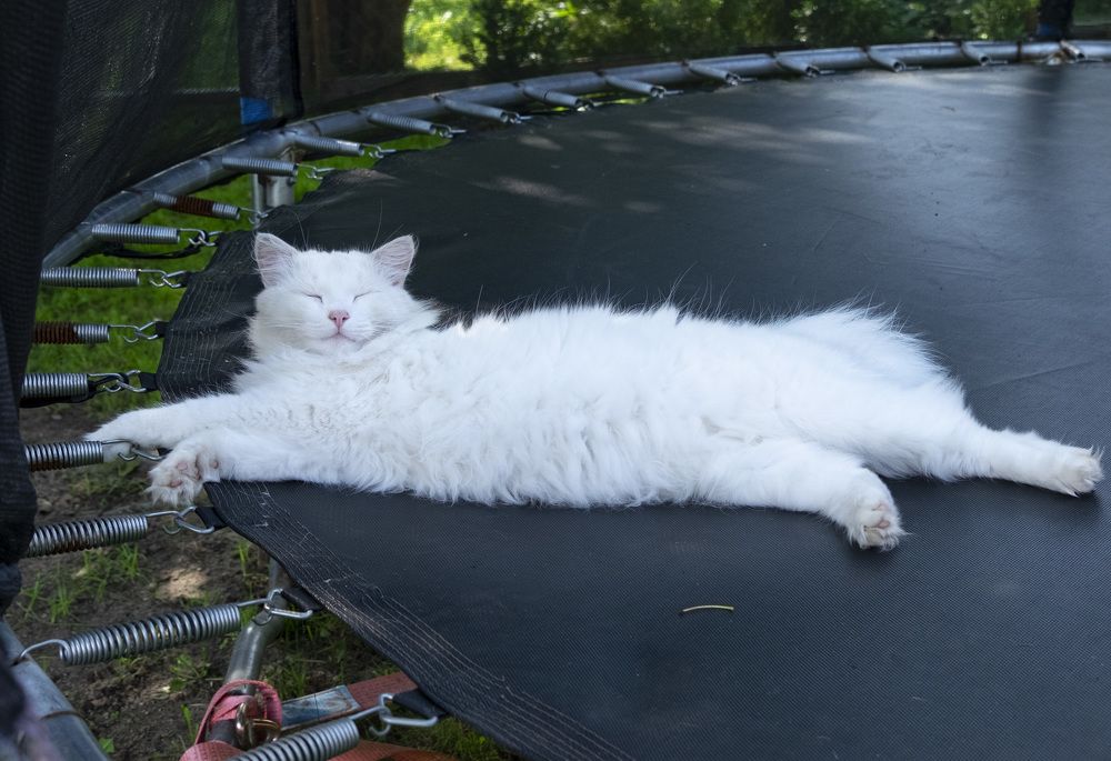 Фотография автора Наталья Липовская