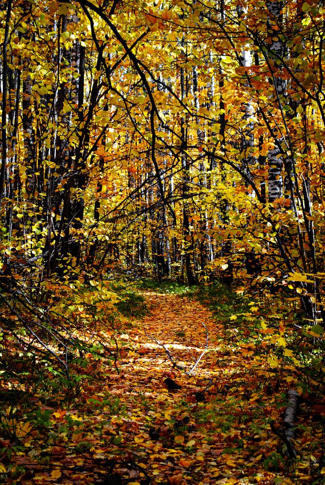 Photograph by Дмитрий Вершинин