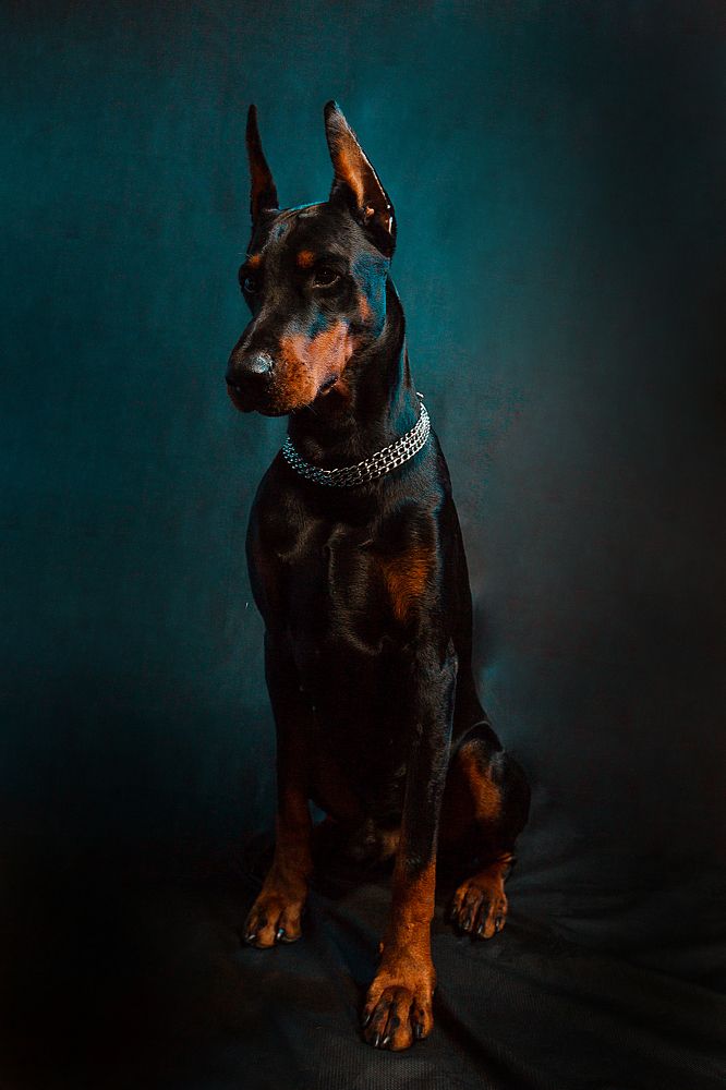 Photograph by Rafael Ha