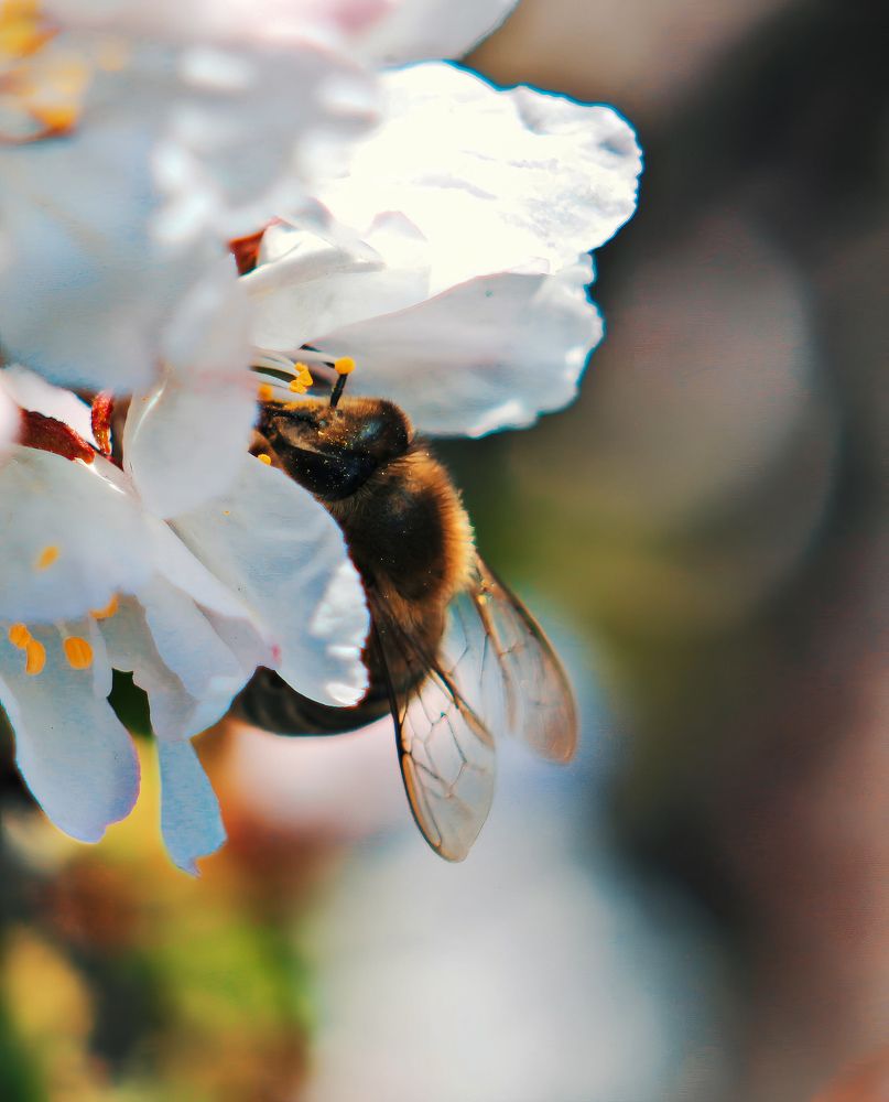 Photograph by Дмитрий Вершинин