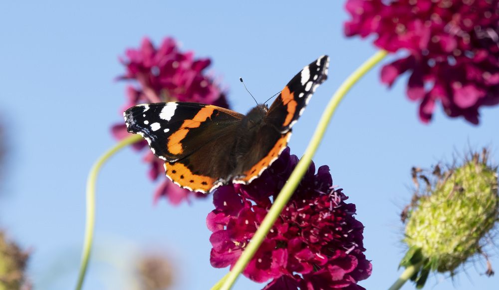 Фотография автора Наталья Липовская