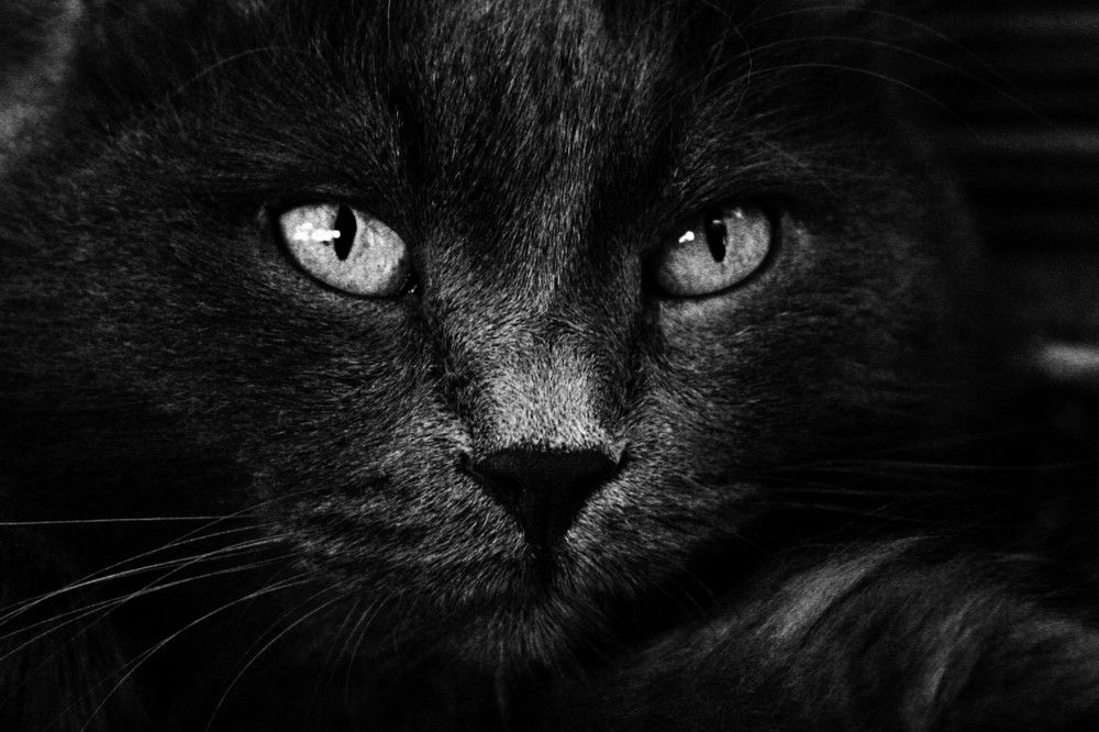 Photograph by Дмитрий Вершинин