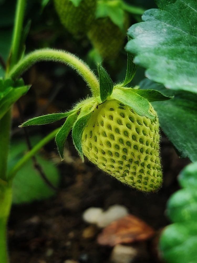 Фотография автора reyhane  khavaninzadeh