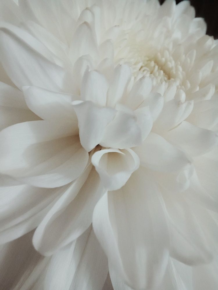 Photograph by Anastasiya Danilova