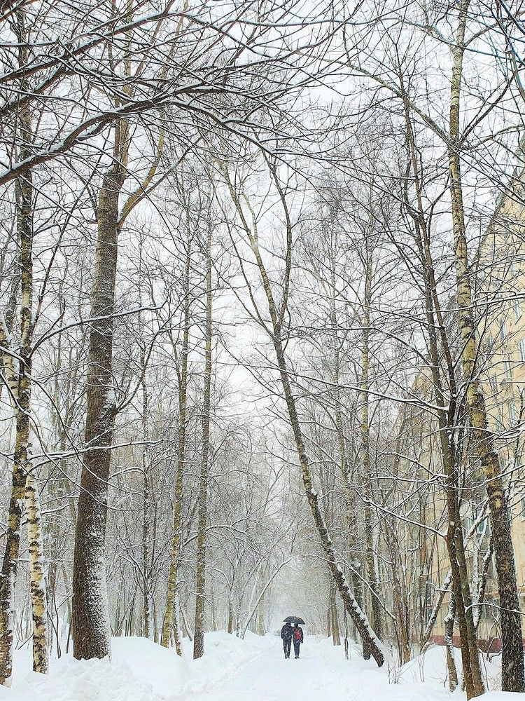 Photograph by Яна Галимуллина