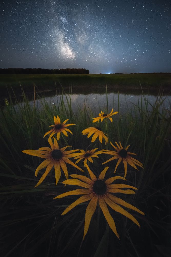 Летней ночью