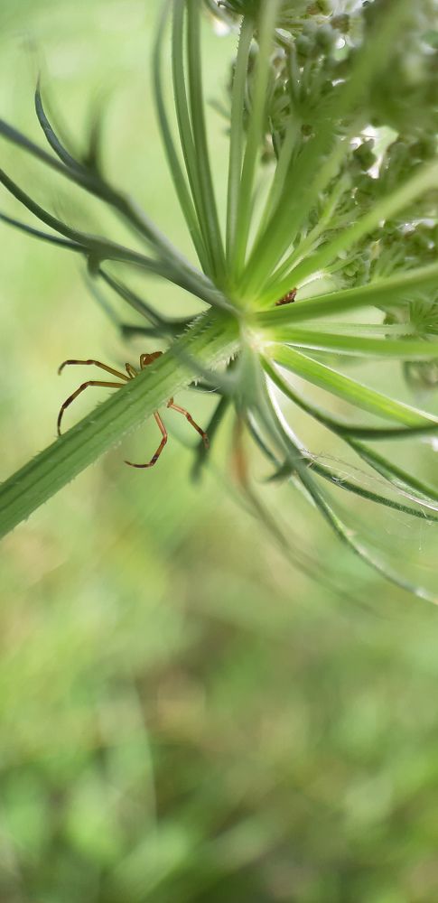 Фотография автора Nedai Eftekhari