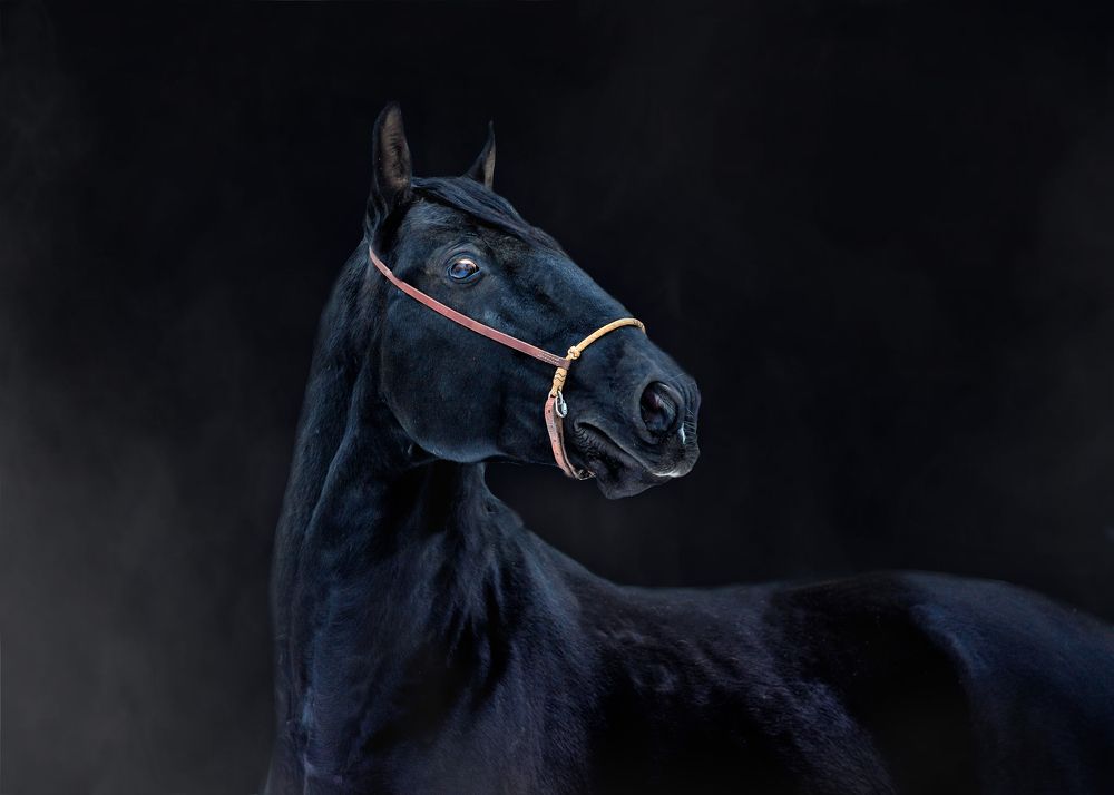 Photograph by Екатерина Лебедева