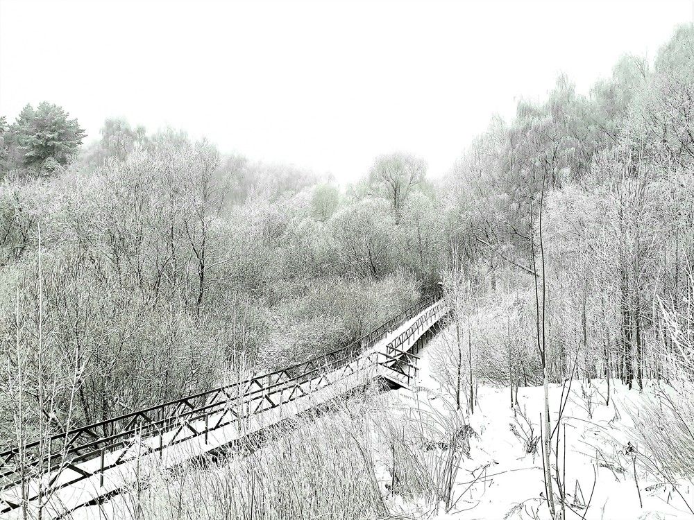 Photograph by Яна Галимуллина