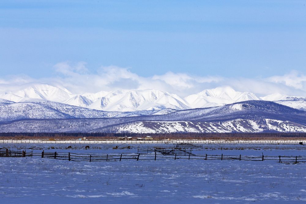 Весенний день.