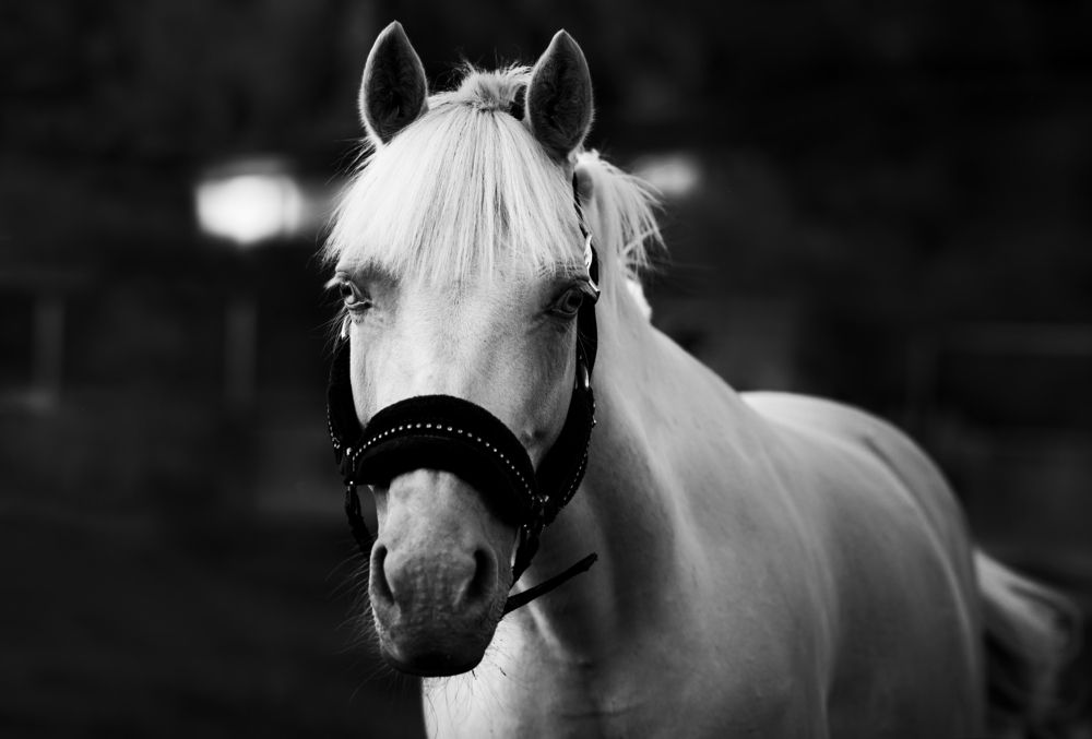 Photograph by Екатерина Лебедева