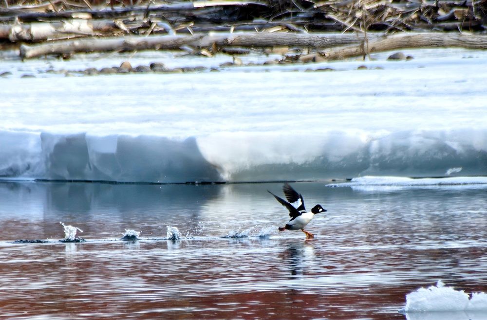 Photograph by Виктория Лобанова