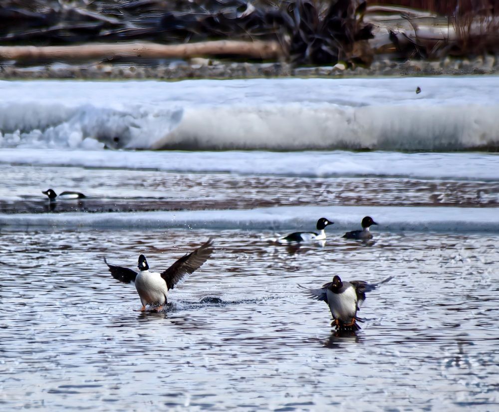 Photograph by Виктория Лобанова
