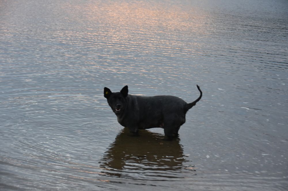 Photograph by Евгений Захаров