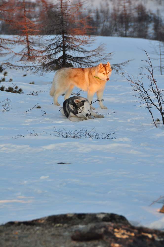 Photograph by Евгений Захаров