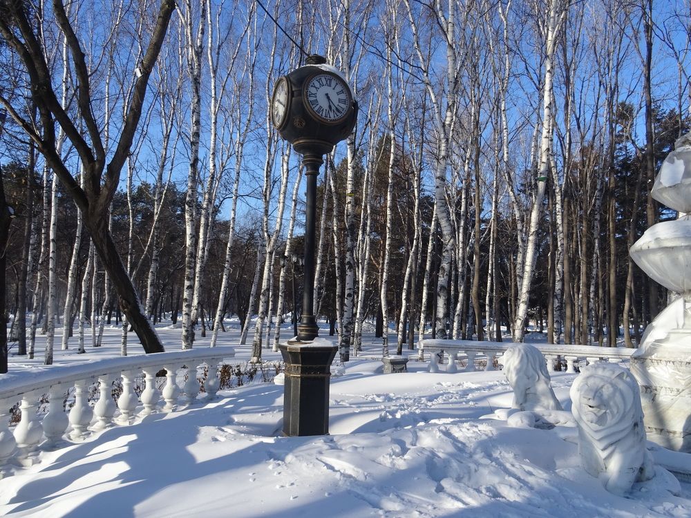 Photograph by Света Раннева