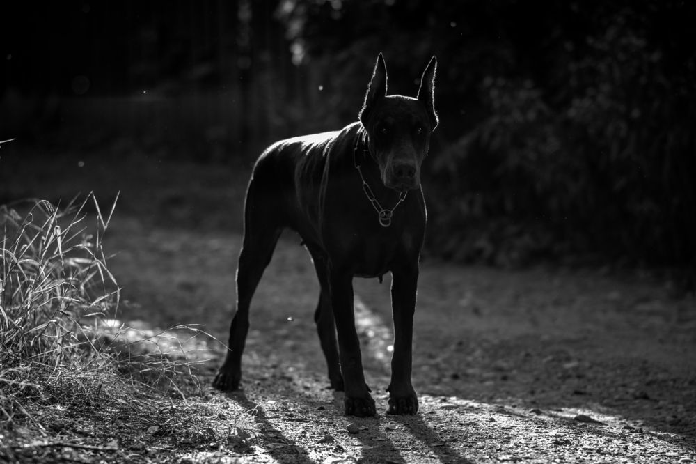 Photograph by Екатерина Лебедева