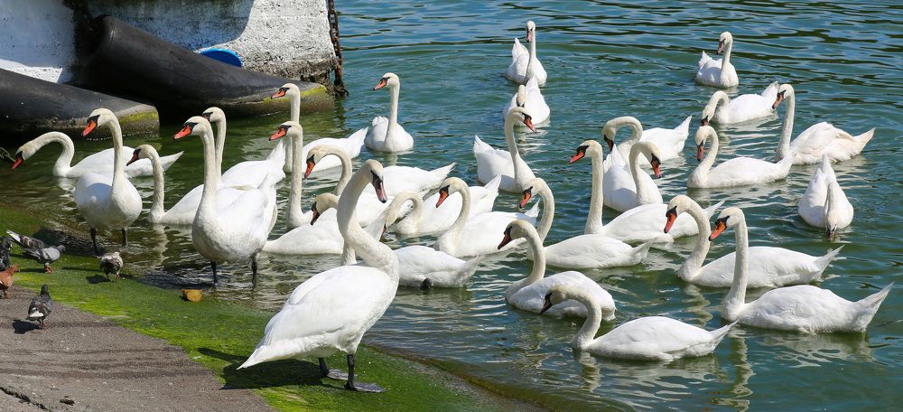 Фотография автора АЛЕКСАНДР ЦЫГЕЛЬНЮК