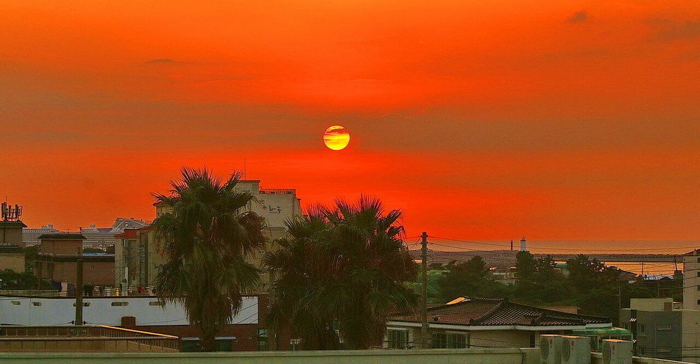 Фотография автора АЛЕКСАНДР ЦЫГЕЛЬНЮК