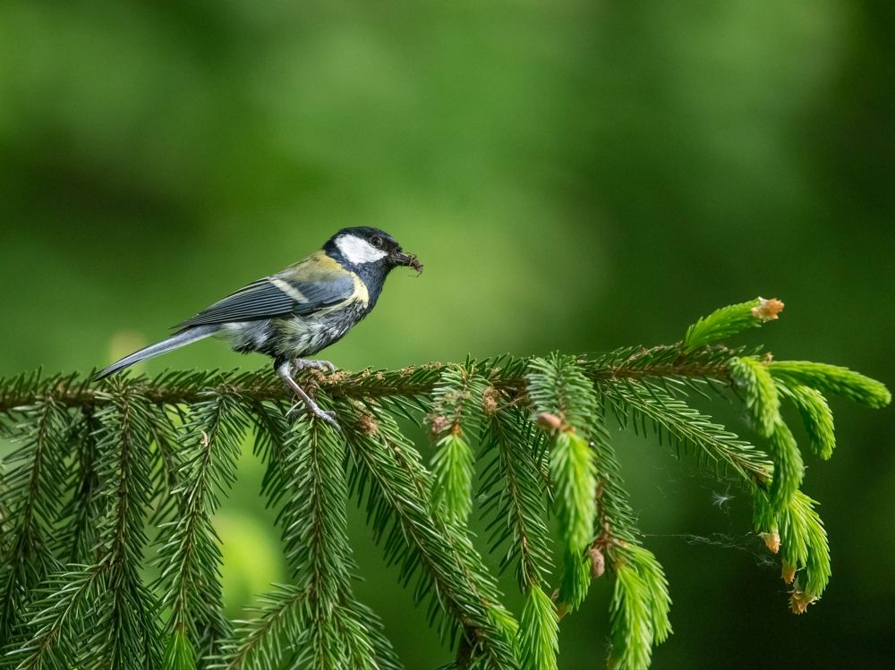 Photograph by Елена Хорохорина