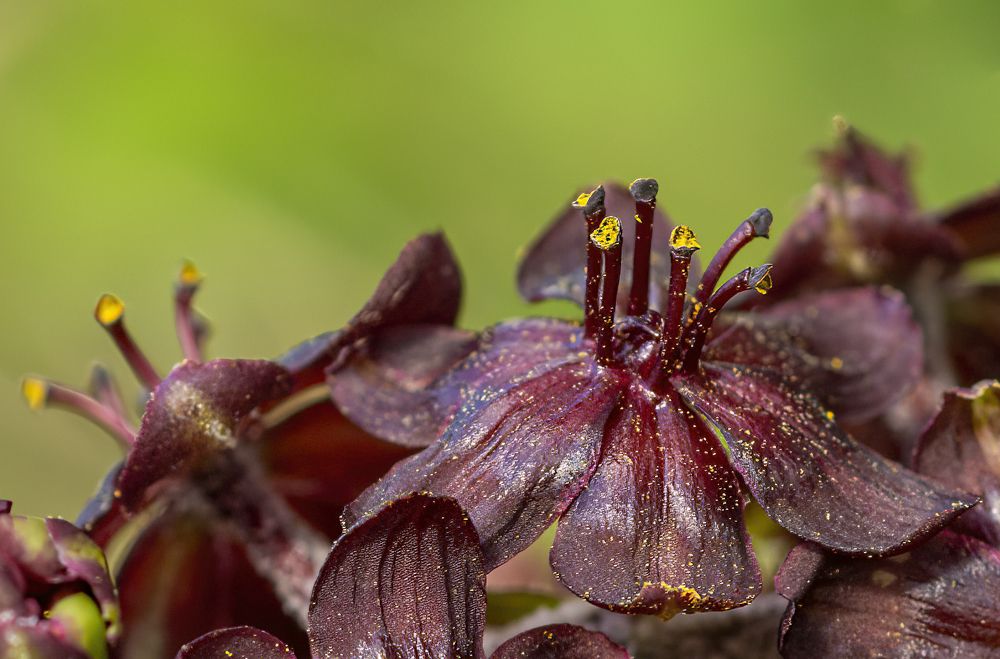 Фотография автора Петр Косачев