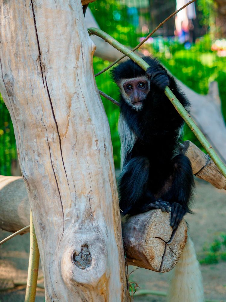 Photograph by Дмитрий Поварков