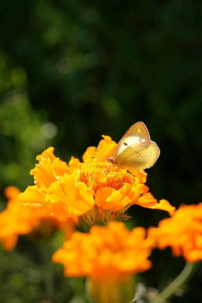 Фотография автора Любовь Харина