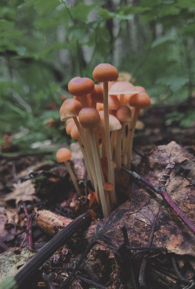 Photograph by Инна