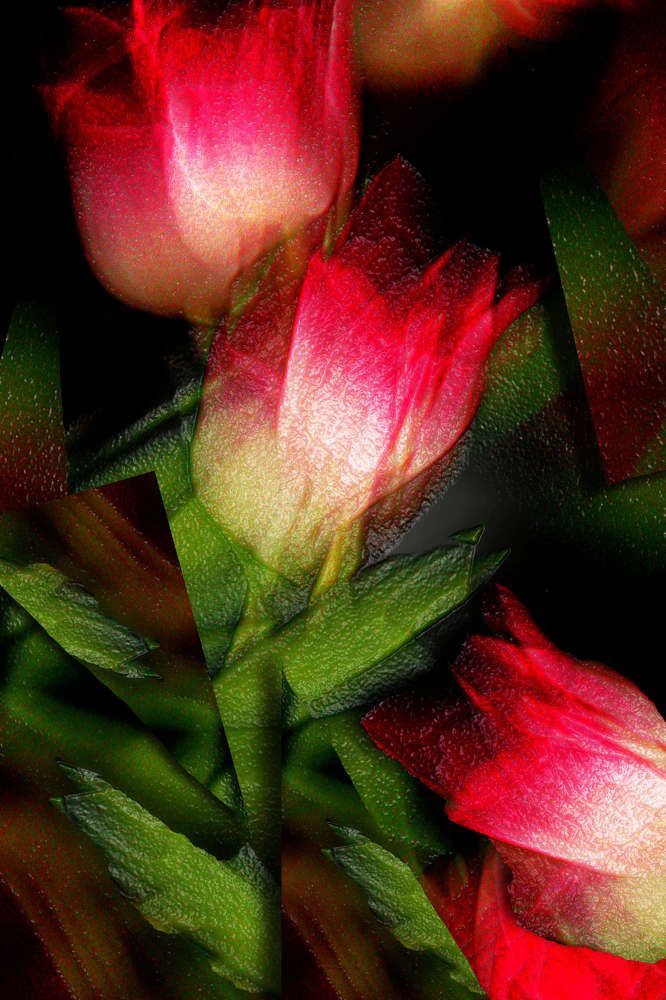 Динамика цвета